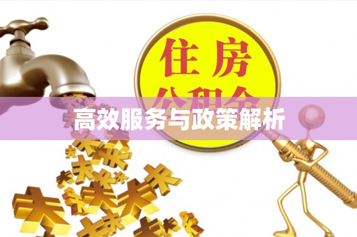 西安高效服务与政策解析