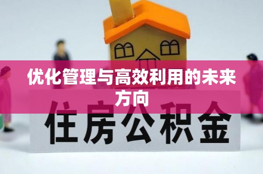 西安优化管理与高效利用的未来方向